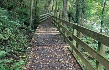 The Orchard Apartment, Clyde Valley - Foto 45