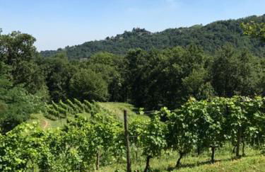 Agriturismo La Costa - Casa Vacanze - Foto 66