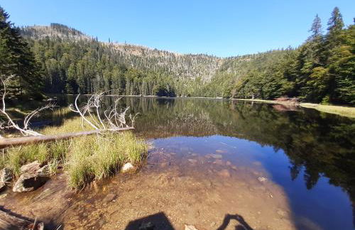 AnNo - Wohlfühlen am Bachal in Altschönau - Foto 38
