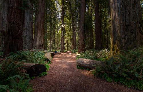 Redwood Oasis, Grove and Nook - Foto 75