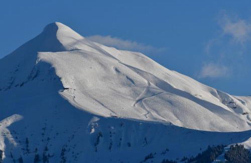 Face Mont-Blanc - Photo 6