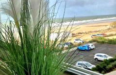 L'Emeraude, les pieds dans l'eau - Foto 13