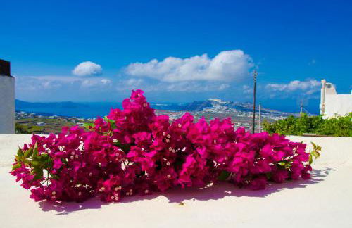 Chrisanthi Villa - Foto 33