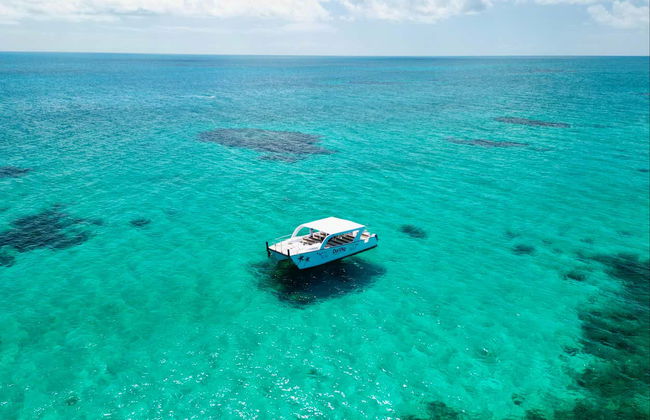 Excursión a Rose Island con avistamiento de cerdos - Foto 4