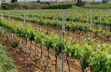 Portuguese village apartment - Casa Martins No.54 - Foto 20