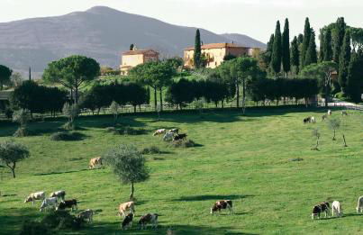 Poggiovalle Tenuta Italiana - Foto 57