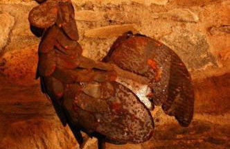 Ninho do Melro - Turismo Rural Bragança - Foto 47