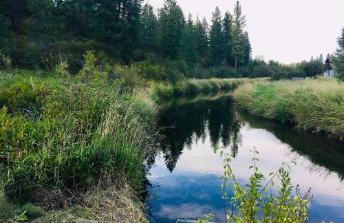 Tranquil Nature Retreat on 12 acres! - Foto 26