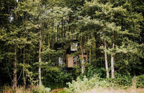 Dziki Las - domki na drzewach - Foto 1