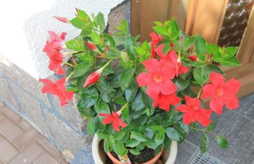 Holiday Home Männel by Interhome - Foto 33