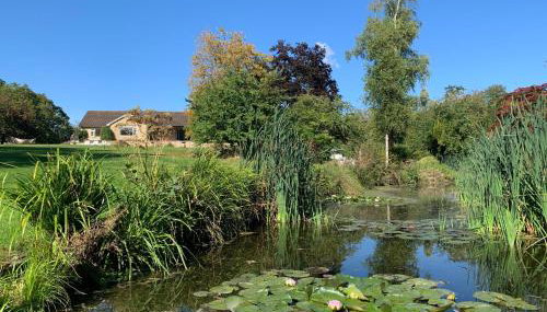 The Quackery - Foto 2, Garden