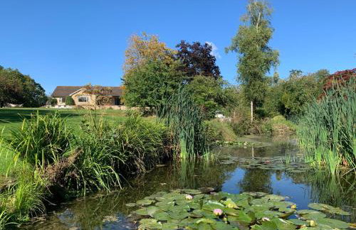 The Quackery - Foto 2