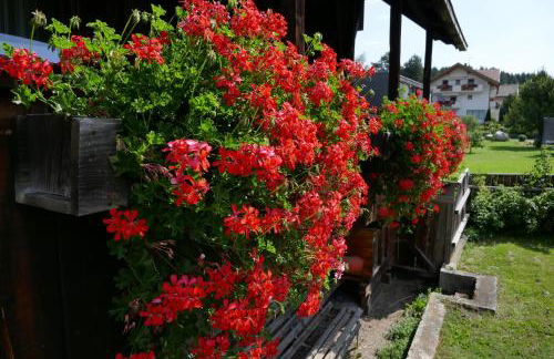 Ferienwohnungen Schnarf - Foto 17