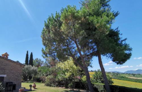 Villa Giulia, a splendid farmhouse in the Marche region - Foto 32