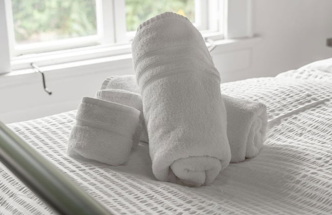 The Adaline 3 Hyde Park Apt Steps to Bayshore - Foto 15