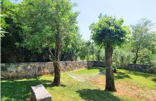 Villa Giselle - Oasis among olive trees - Photo 35