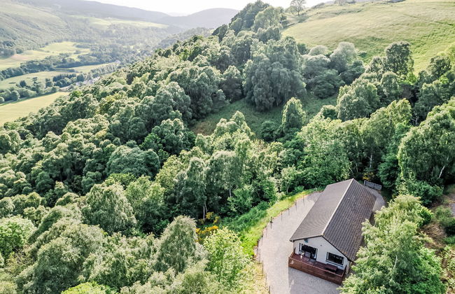 Achmony Number 11 - Foto 19