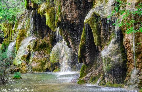 Alojamiento Rural El Morenal - Foto 34