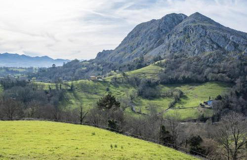 Escuelas de collía A - Foto 30