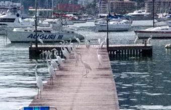 Porto de Luz - Casa beira mar Condomínio Marina - Foto 13