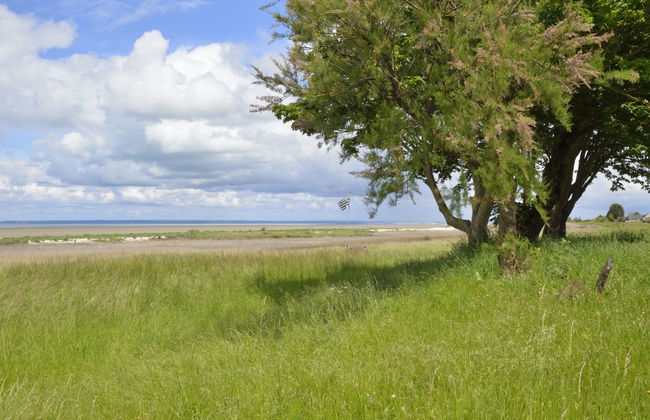 l'atelier des rêves - Foto 18