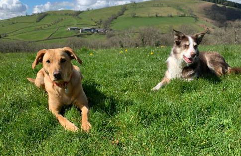 Ty Glo Cottage - Photo 2