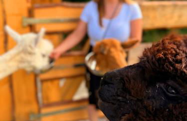 Ferienhäuser Saalemaxx - Foto 6