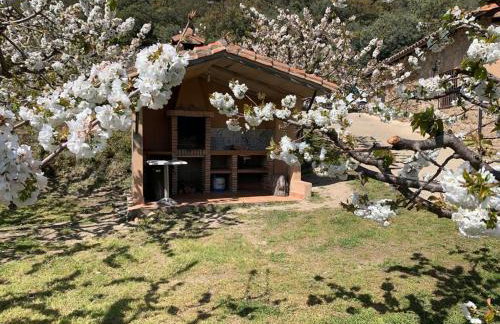Casa Rural Canchal Madroñeras *** - Foto 3