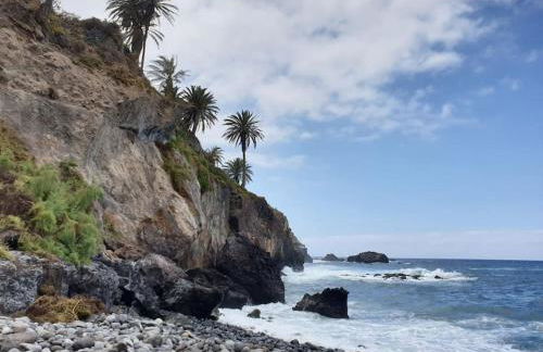 Exotic Ocean View Apartment - Foto 8