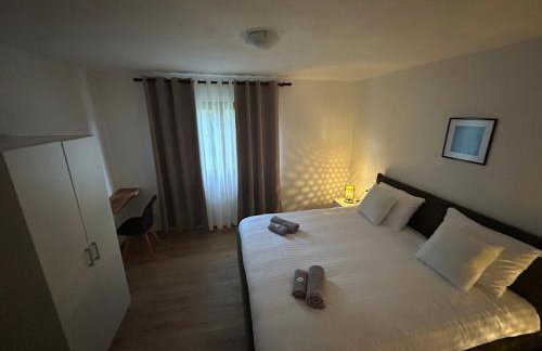 Seosko Imanje Na Obali Rijeke - Foto 39