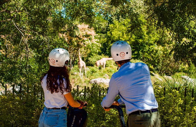 Tour en Segway por ComhiC - Parque Tête d'Or - 2h - Foto 4