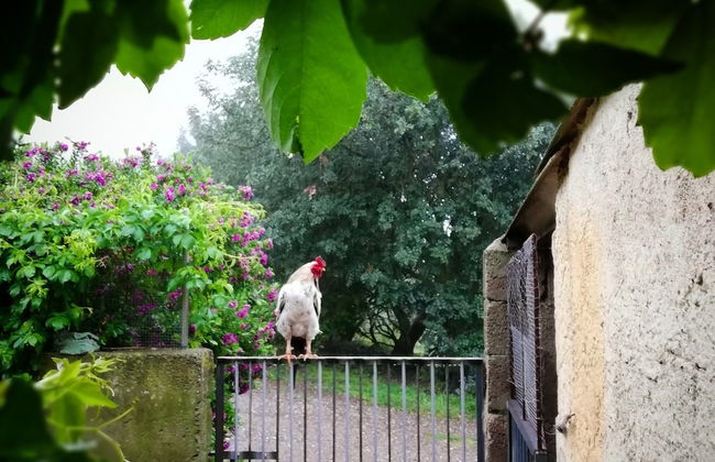 Agriturismo Sa Tanca - Photo 11