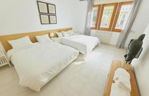 SBD apartamento centro - Foto 6