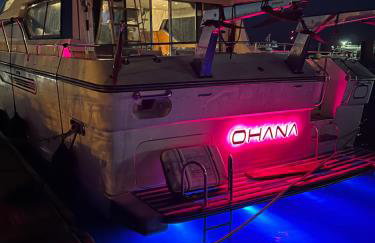 SUPERYACHT ON TOWN QUAY MARINA, SOUTHAMPTON - Very close to city centre and cruise terminals - free parking included - Foto 35