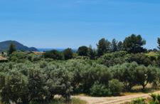 Studio 1 terrasse aperçu mer vignes - Foto 22