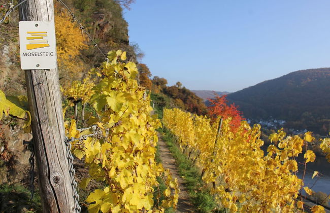 Ferienwohnung zur Burg Eltz - Foto 16