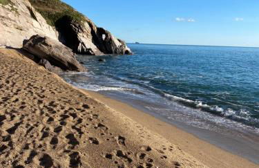 Dart Dream - Foto 32