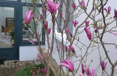 Maisonnette l'Olivier Bleu - Foto 2