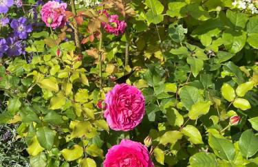 The Coach House - Foto 47