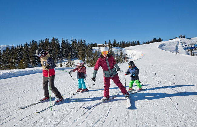 Hilltop Apartment in Viehhofen With hot tub - Foto 21