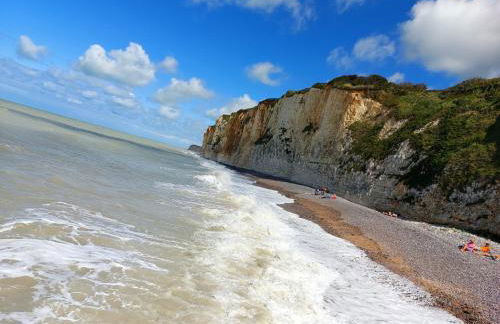 BEL APPARTEMENT CENTRE VEULES LES ROSES 1 CHAMBRE MER 300 M - Foto 11