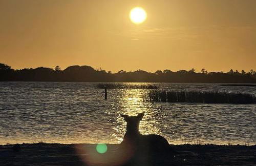 Vila Hillia - Preá, CE - Foto 29