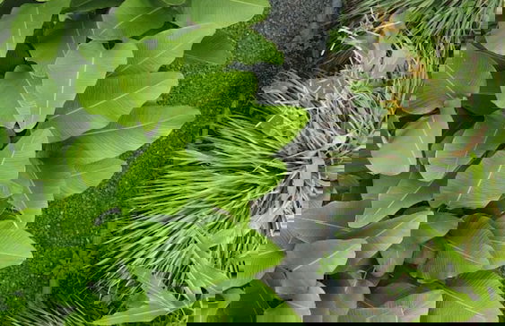 encanto Toscano - Photo 17