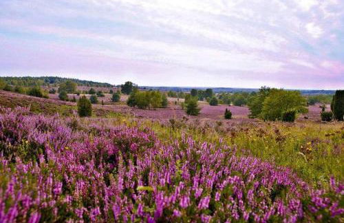 FeWo Schwedenhaus - Foto 25