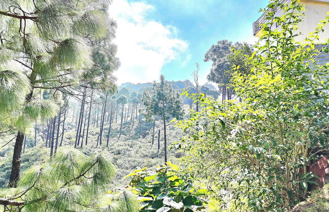 The Cloud Homestay - Foto 22