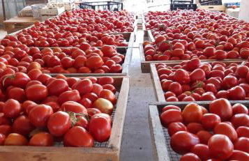 Agriturismo Gli Antichi Sapori - con stazione di ricarica veicoli elettrici - Foto 43