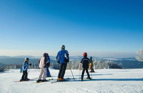 Bayerwald-Ferienhof Schmid - Foto 20