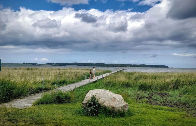 The Comfort of This Cottage Merges With Nature - Photo 30