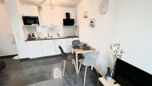 Agatha : ACCES FACILE GARE PARDIEU / EUREXPO / AEROPORT / GROUPAMA STADIUM - Foto 5, stove, minibar