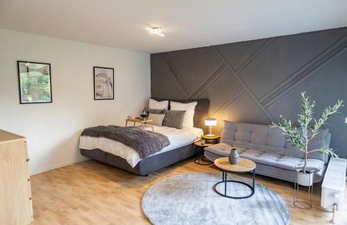 Stilvolles Apartment in Siegen - Foto 3